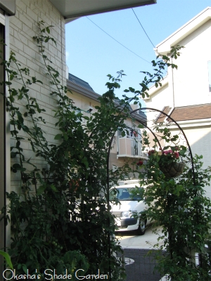 sCIMG5402.jpg