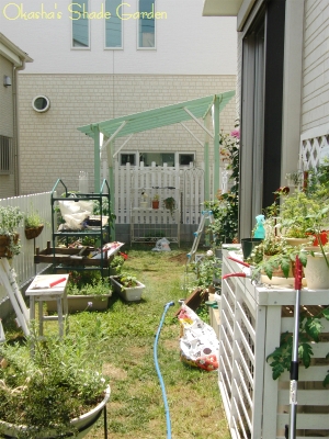sCIMG5427.jpg