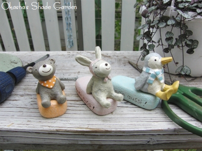 sCIMG5455.jpg