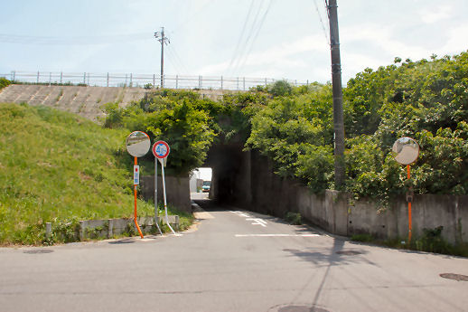 4052304.jpg
