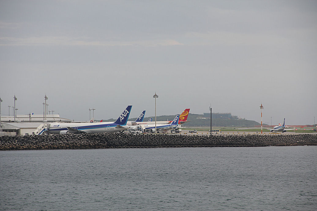 4071812.jpg