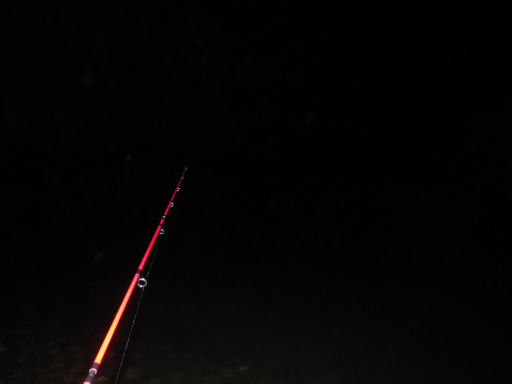 4102714.jpg
