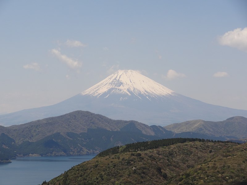 DSC07115.jpg