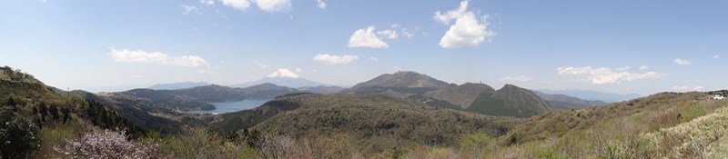DSC07117.jpg