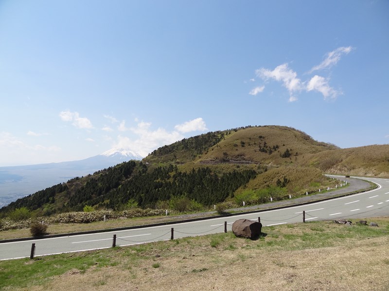 DSC07120.jpg