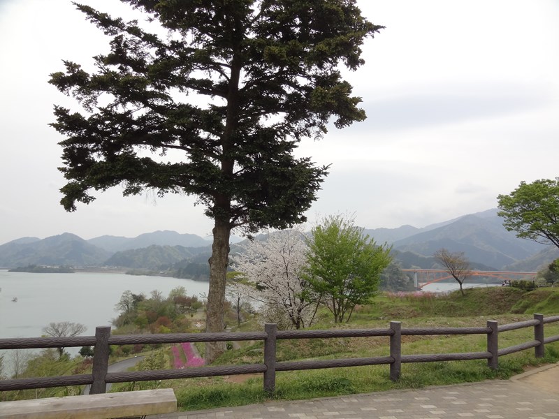 sDSC07031.jpg