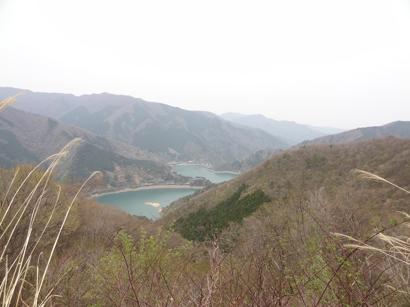 sDSC07033.jpg