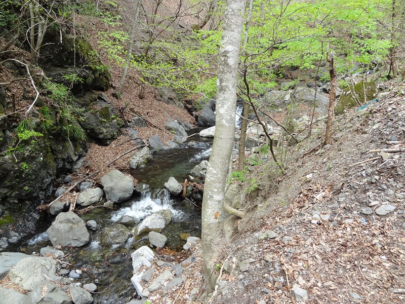 sDSC07037.jpg