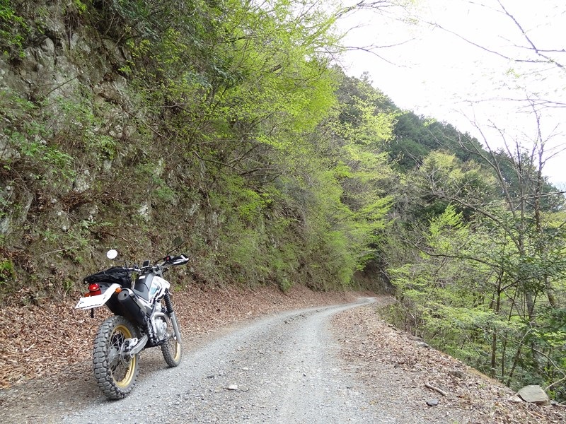 sDSC07046.jpg