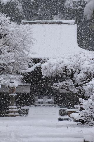 40 北鎌倉 円覚寺