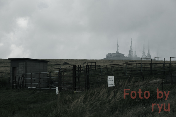 _MG_9907.jpg