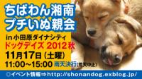 プチいぬ親会in小田原