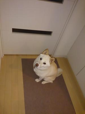 らんらん