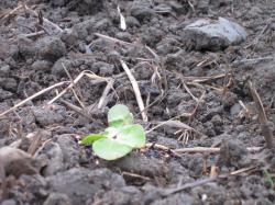 2013_0511_173949-IMG_0727_convert_20130513115615.jpg