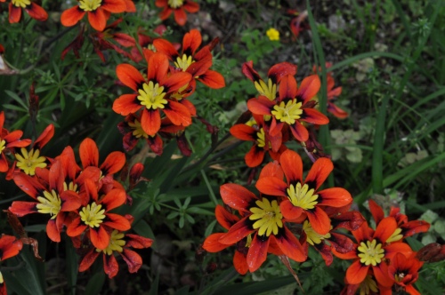 D82780t.jpg