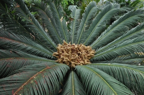 D83887t.jpg