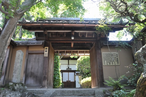 D85596t.jpg