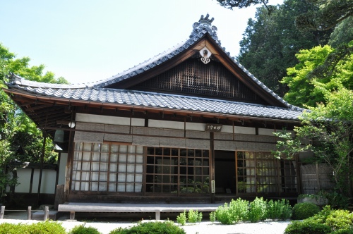 D85620t.jpg