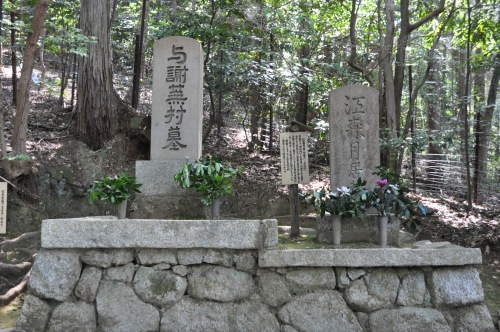 D85632t.jpg