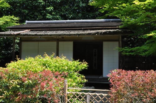 D85646t.jpg