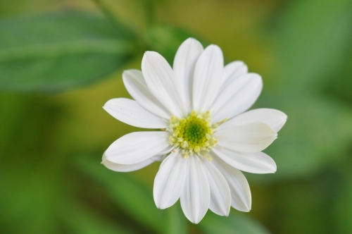 D85692t.jpg