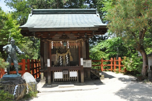 D85726t.jpg