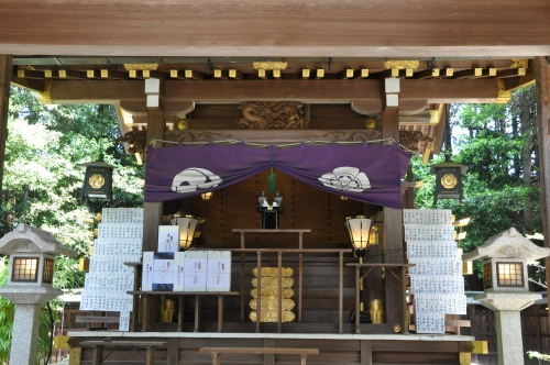 D85727t.jpg
