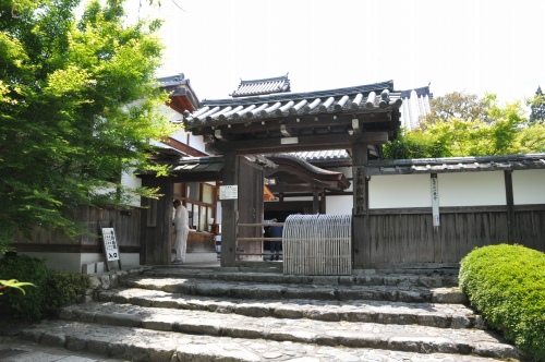D85740t.jpg