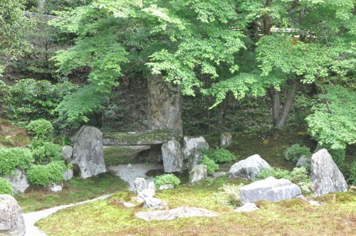 D85757t.jpg