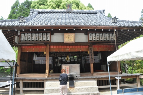 D85811t.jpg
