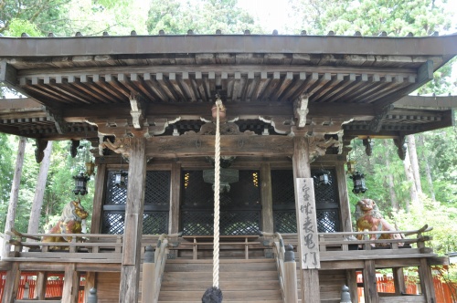 D85824t.jpg