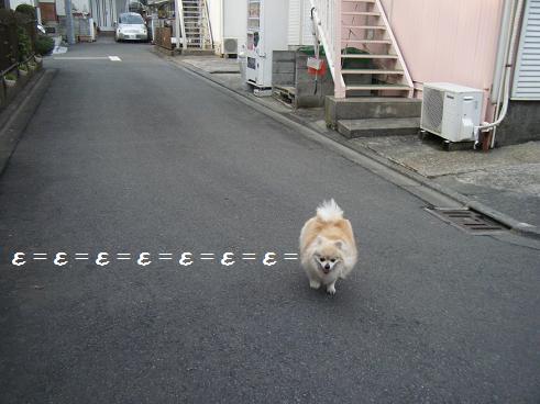 画像 002