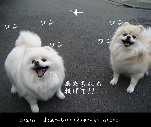 画像 005