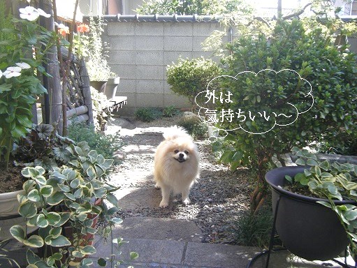DSCF3109.jpg