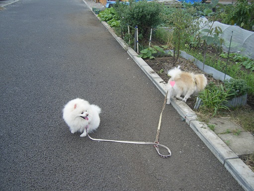 DSCF3174.jpg