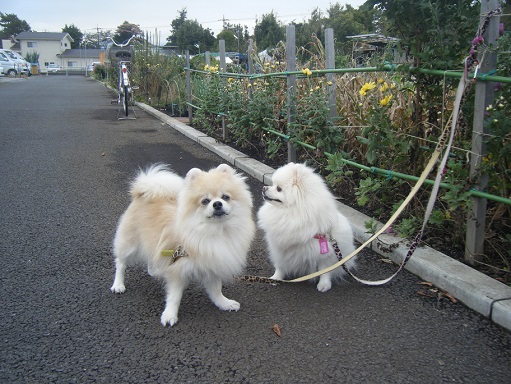 DSCF3237.jpg