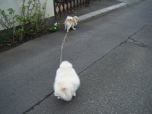 DSCF3240.jpg