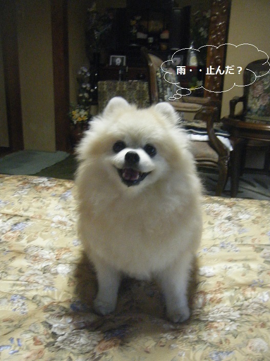 DSCF3241.jpg
