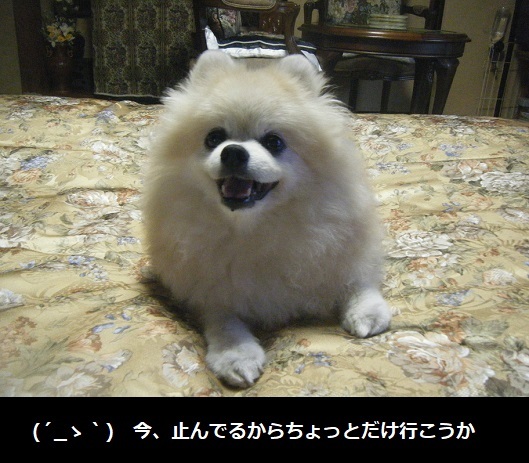 DSCF3243.jpg