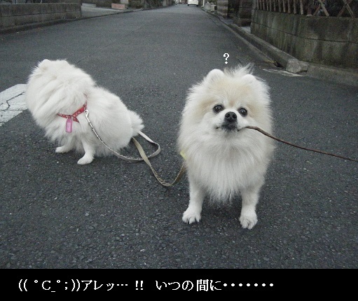 DSCF3303.jpg