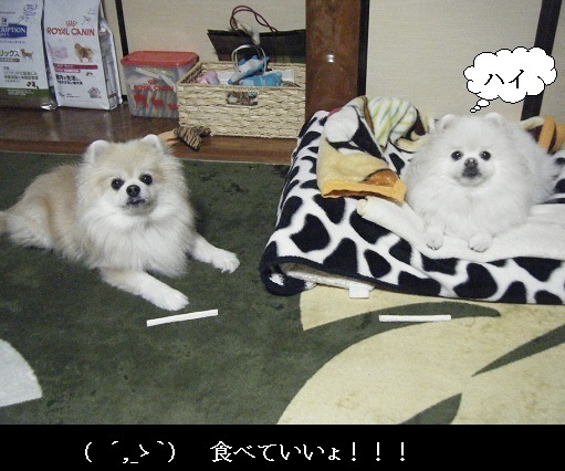 DSCF3390.jpg