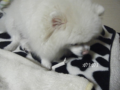 DSCF3391.jpg