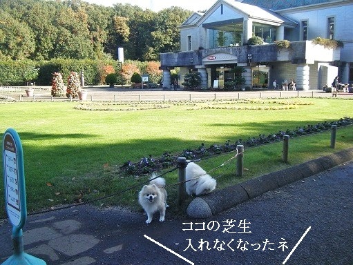 DSCF3407.jpg