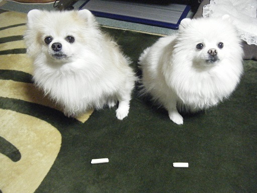 DSCF3423.jpg