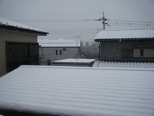 DSCF3427.jpg