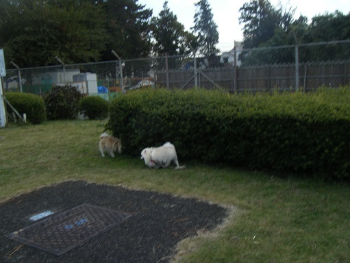 DSCF3444.jpg