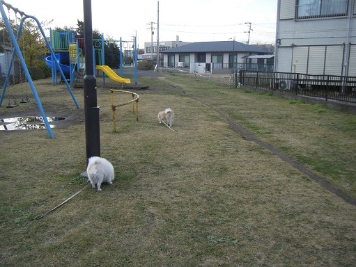 DSCF3450.jpg