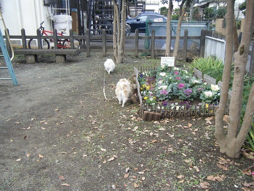 DSCF3460.jpg