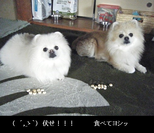 DSCF3544.jpg