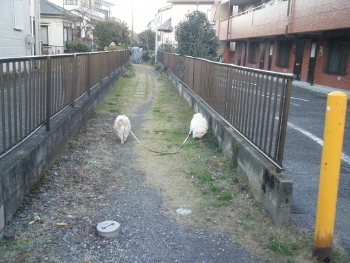 DSCF3566.jpg